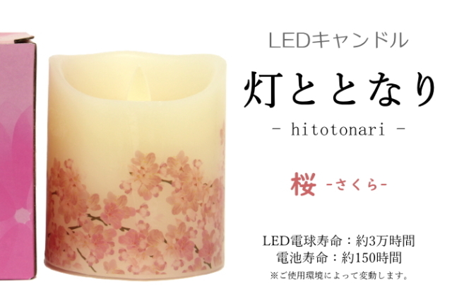 灯ととなり　桜