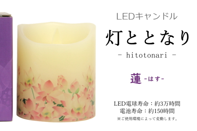 灯ととなり　蓮