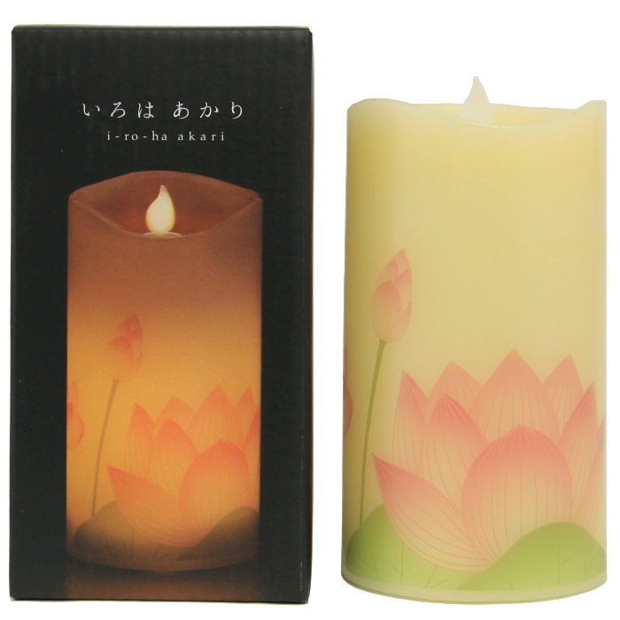 いろはあかり　蓮ツボミ