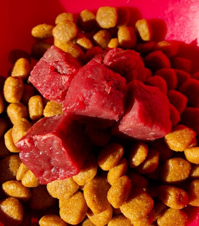 【国産】馬肉ミンチ角切り600g ペット生食用