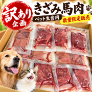 【特売】【訳あり】きざみ馬肉 50g ペット生食用　数量限定販売
