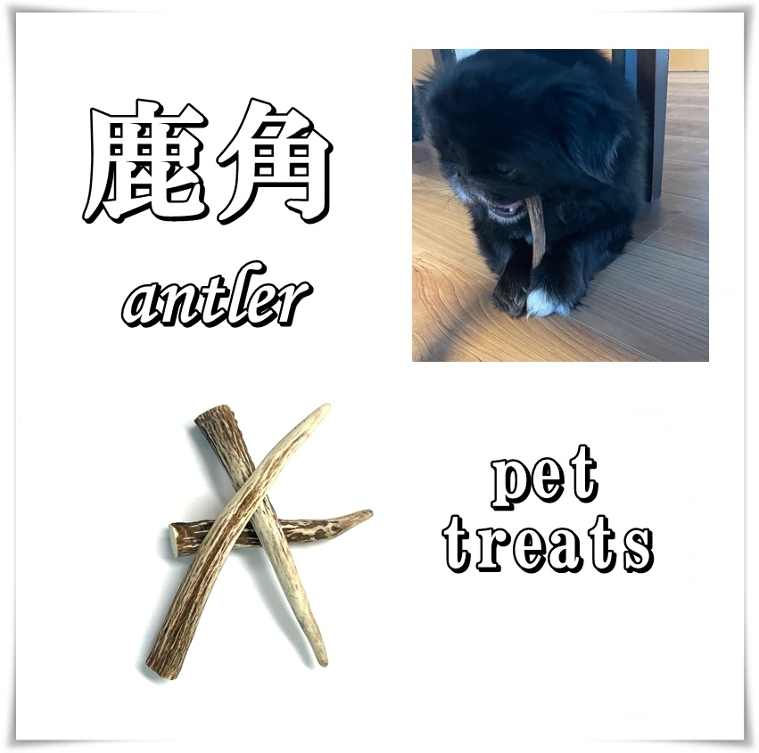 鹿の角　15～25cm3本入り　中、大型犬向け　ペットおやつ 国産 犬 天然素材 無添加 ガム 骨 おもちゃ　ネコポス便発送　送料無料　常温便対応　