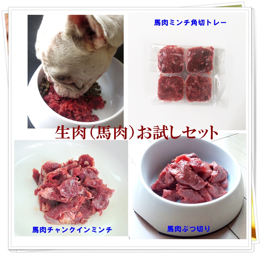 送料無料 ペット用馬肉 生食お試セット3品 初回限定 ペットフード 送料無料 ペット用馬肉 生食お試セット3品 初回限定 ペットフード