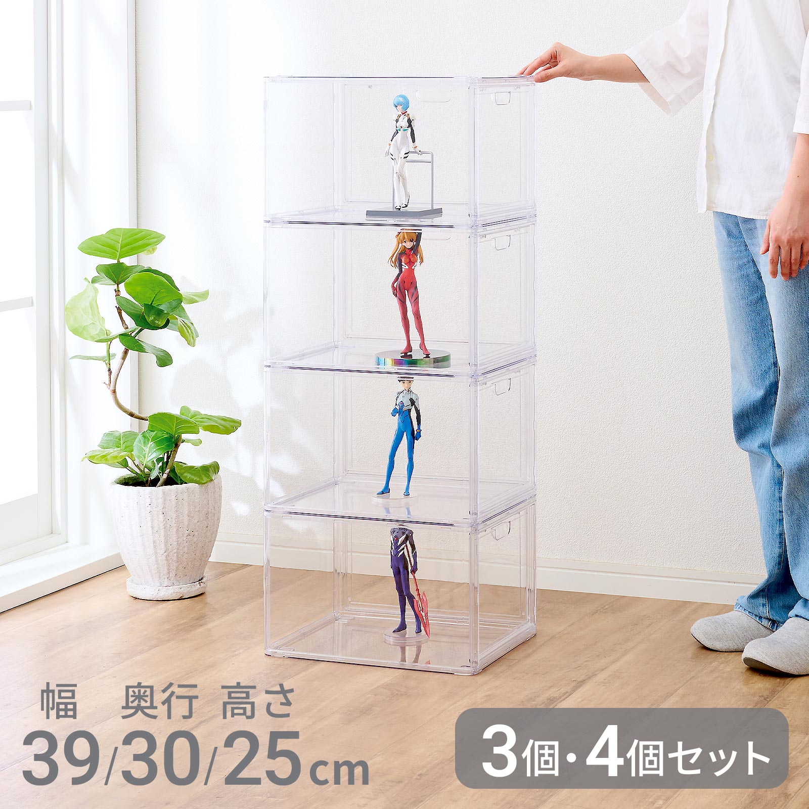 コレクションケース