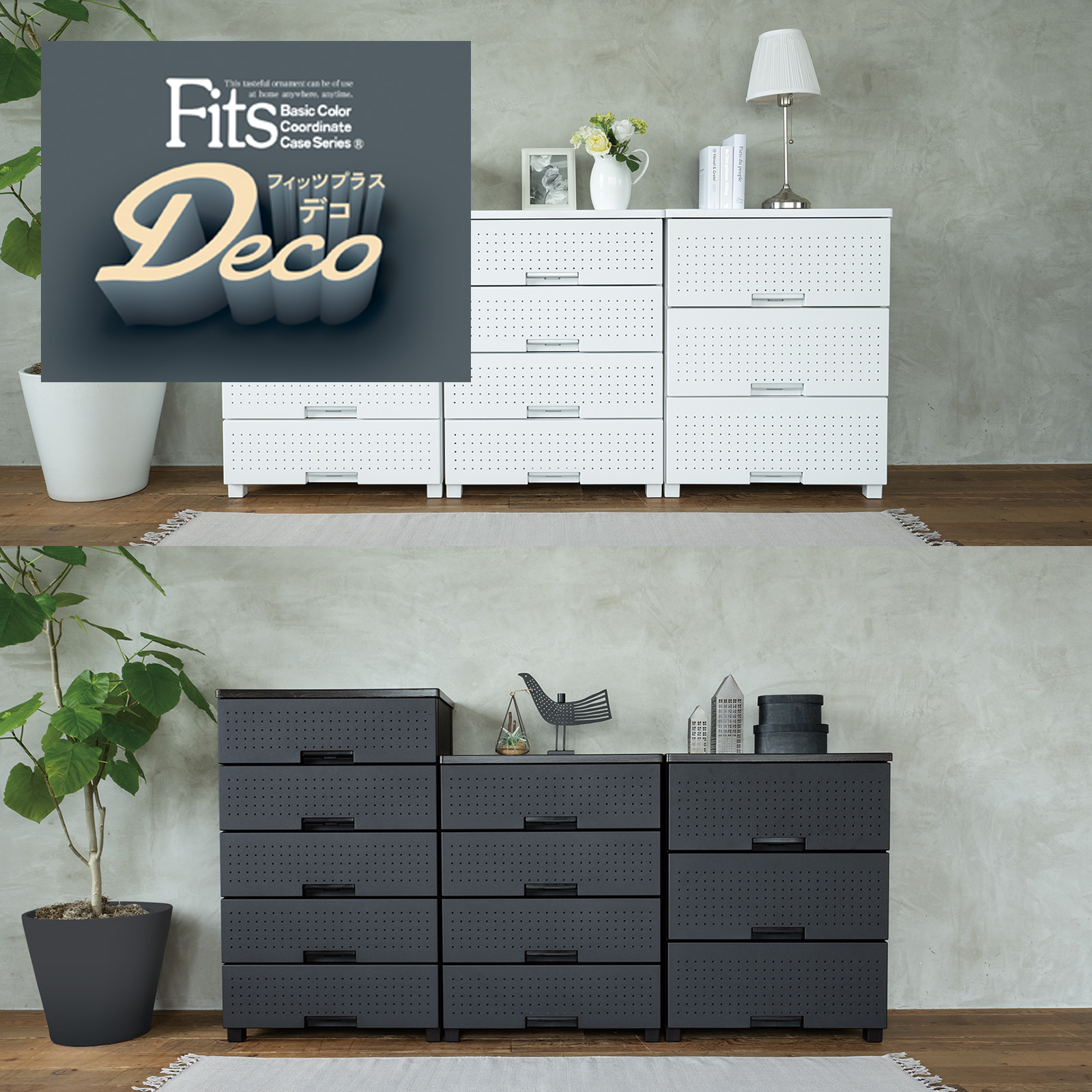 フィッツプラス デコ テンマフィッツワールド