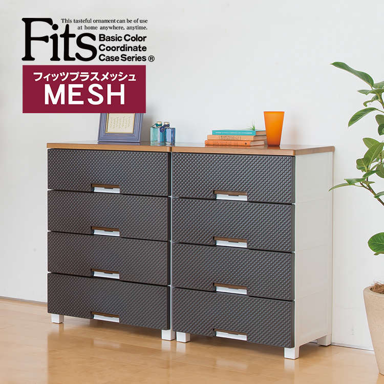 フィッツメッシュ