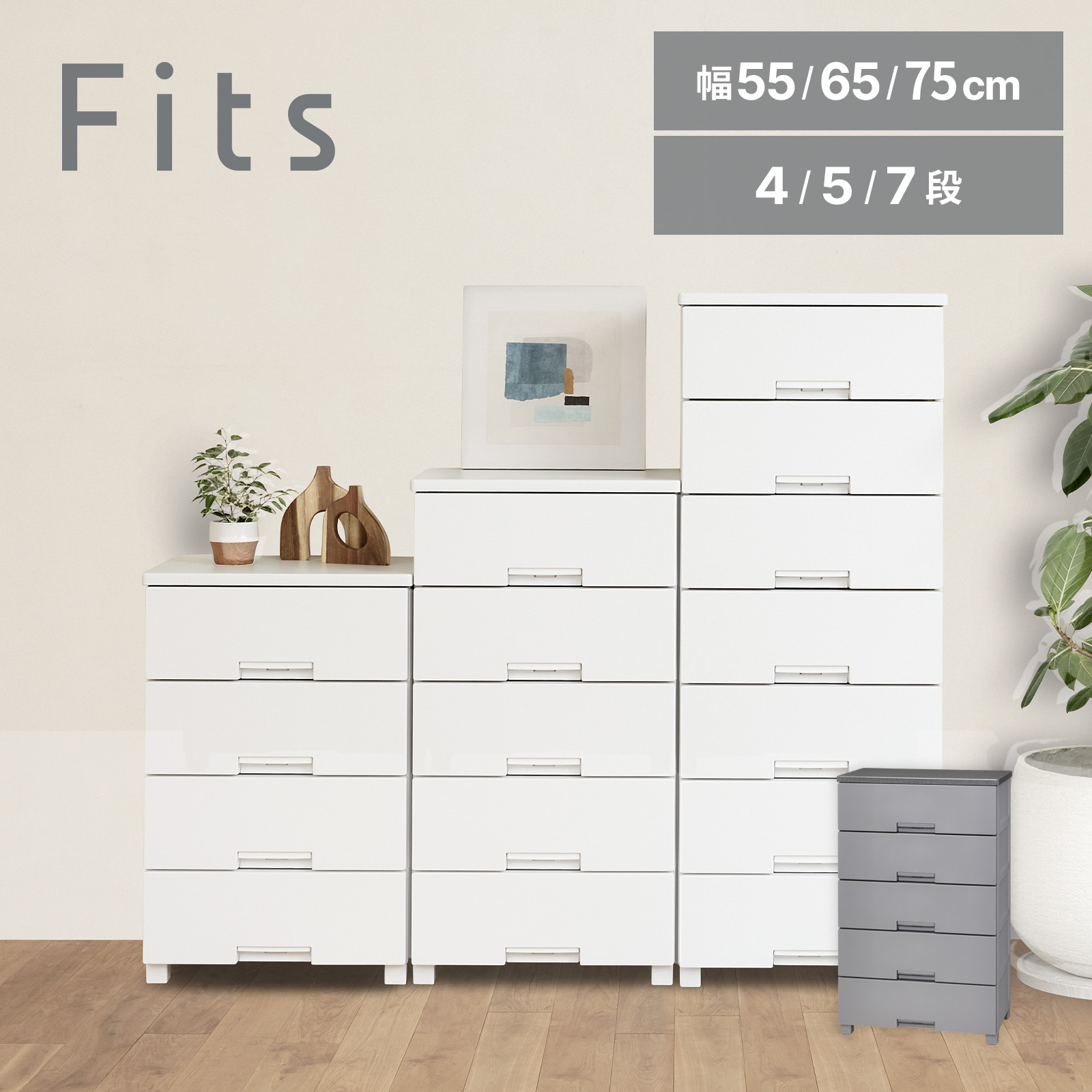 フィッツチェスト