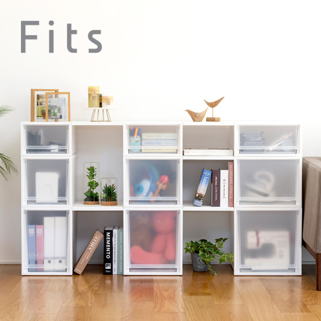 フィッツケース マルチ テンマフィッツワールド