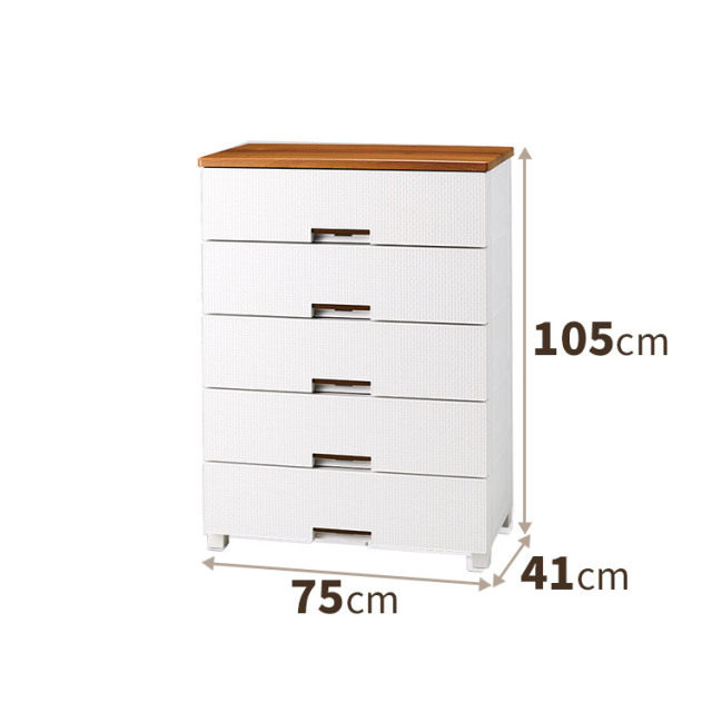 フィッツプラス メッシュ テンマフィッツワールド