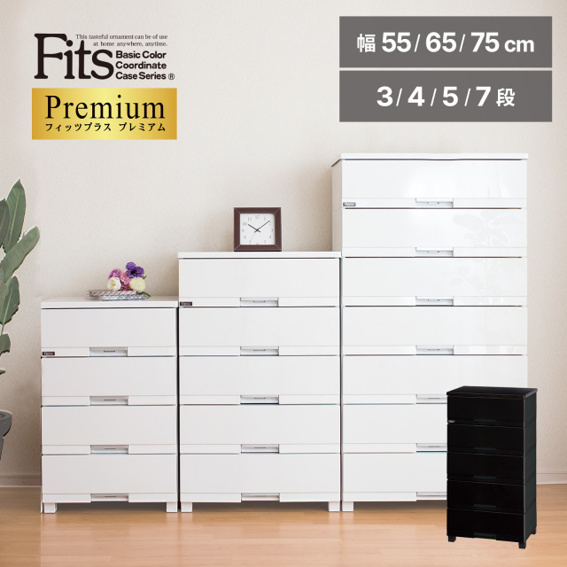 フィッツプレミアム