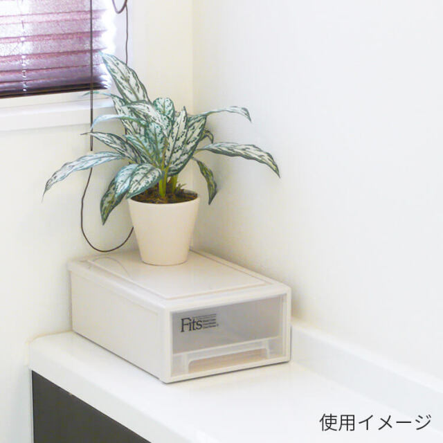 フィッツケース クラシック 小物収納