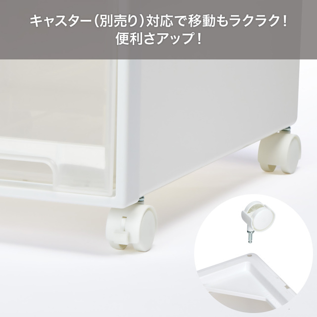 フィッツケース 53（ホワイトクリア） テンマフィッツワールド