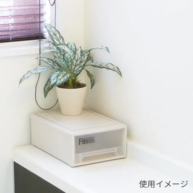フィッツケース クラシック 小物収納