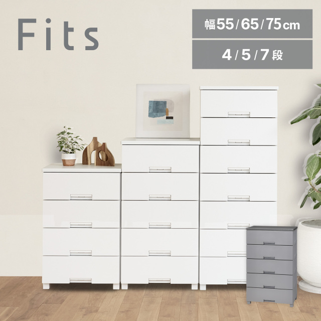 フィッツチェスト