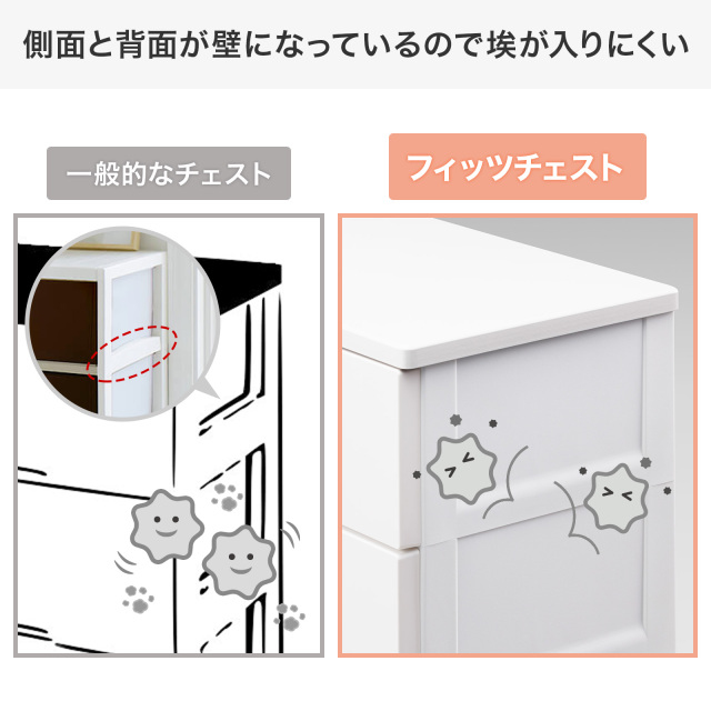 フィッツチェスト