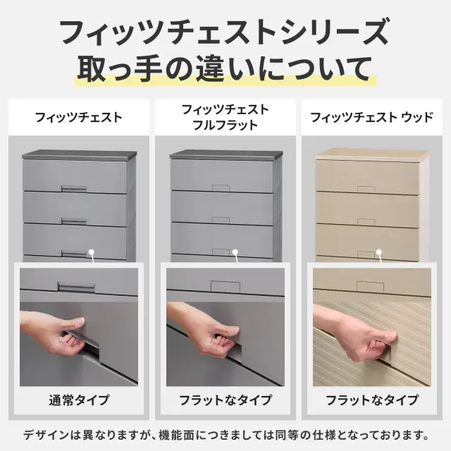 フィッツチェスト テンマフィッツワールド