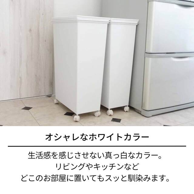 ホワイトラッシュ スマートペール 本体 テンマフィッツワールド