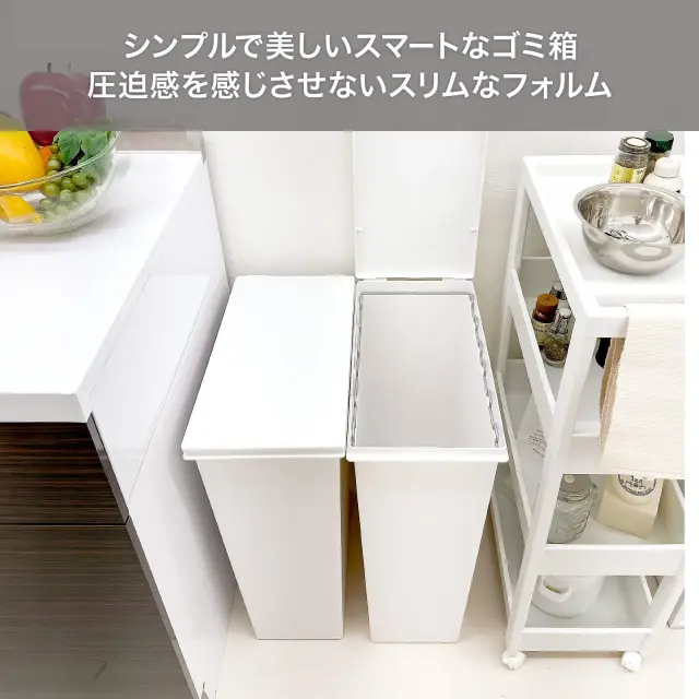 ホワイトラッシュ スマートペール