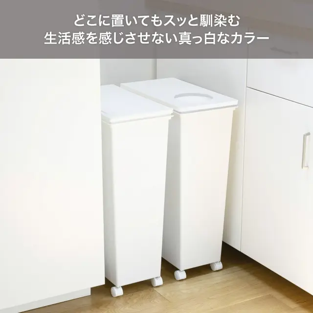 ホワイトラッシュ スマートペール
