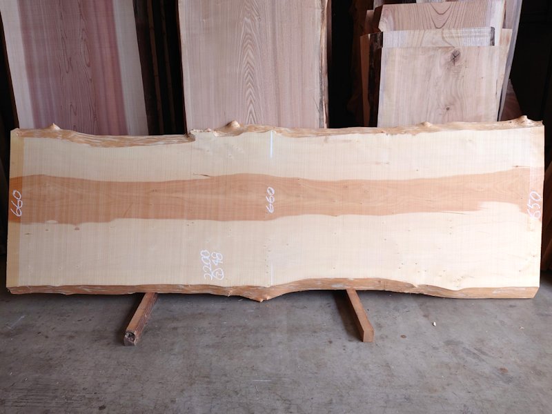 ＩＴ-２０２　銀杏イチョウ　国産　天然耳付き板　２０００×７００　天然乾燥材