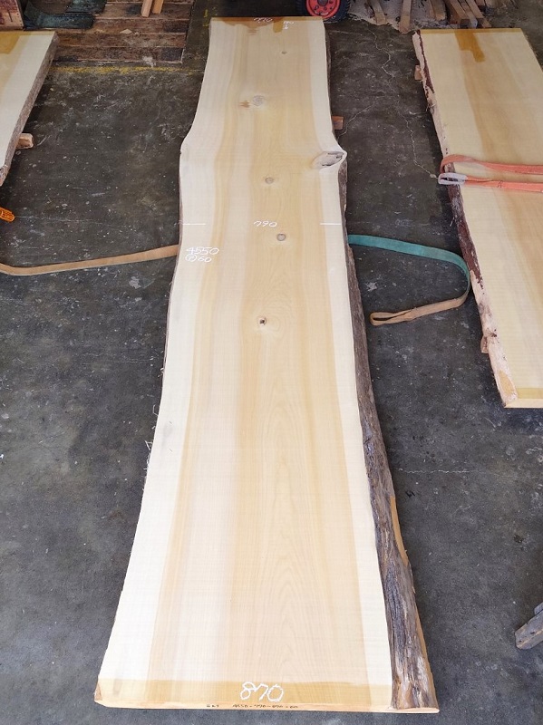 ＩＴ-２１１　銀杏イチョウいちょう　国産　天然耳付き板　４５５０×８００【天然乾燥材】