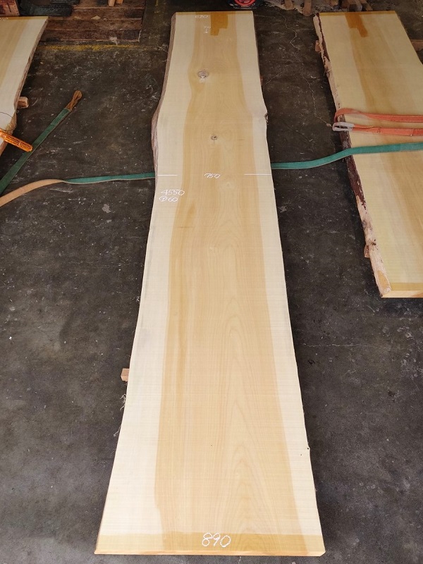 ＩＴ-２１２　銀杏イチョウいちょう　国産　天然耳付き板　４５５０×８００【天然乾燥材】