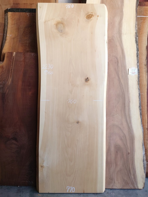 ＩＴ-２１５　銀杏イチョウいちょう　国産　天然耳付き板　２２３０×８５０【天然乾燥材】