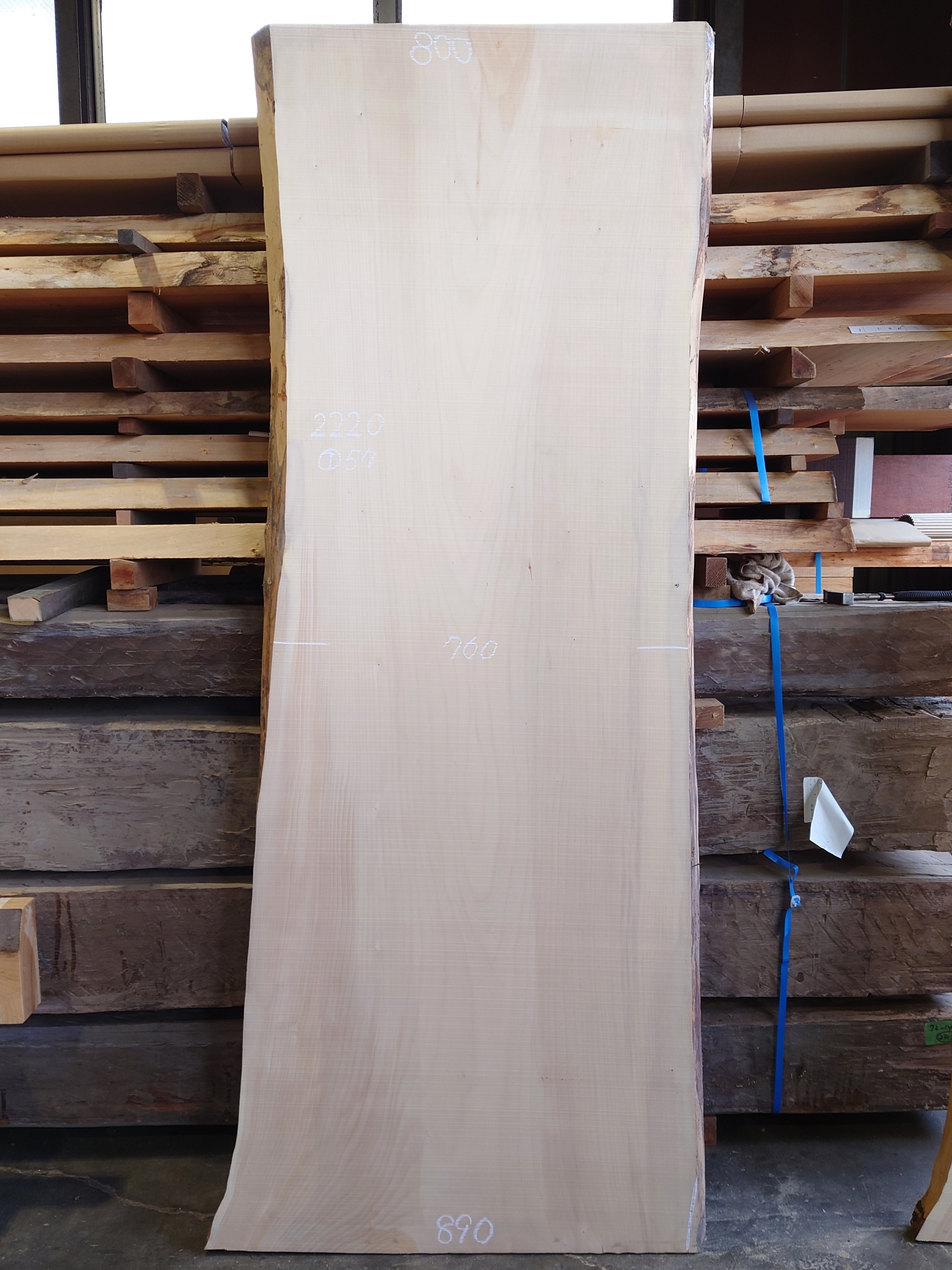 ＩＴ-２１７　銀杏イチョウいちょう　国産　天然耳付き板　２２２０×８５０【天然乾燥材】