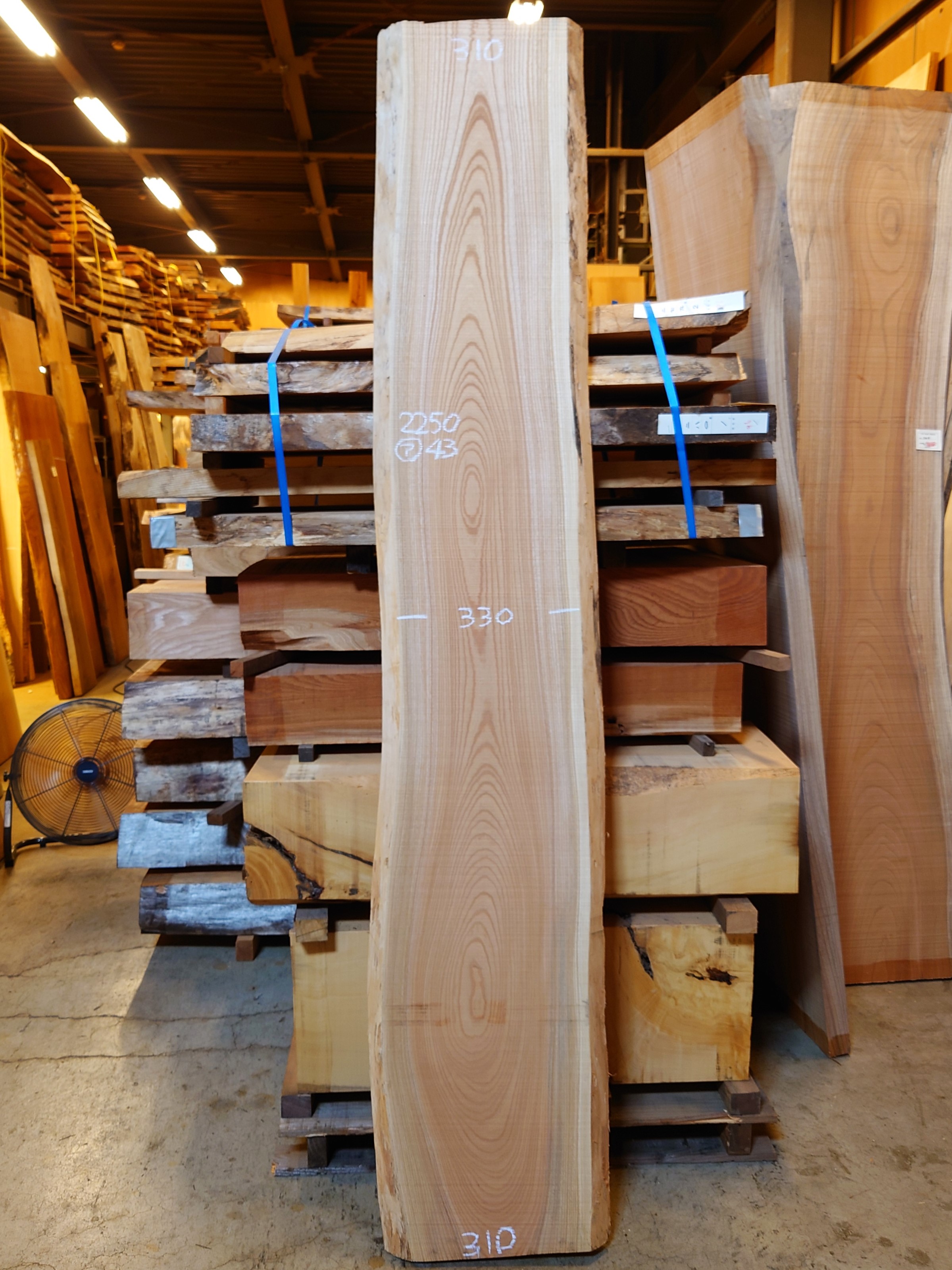 Ｋ-８３３　欅ケヤキ　国産　天然耳付き板　２２５０×３３０　【天然乾燥材】荒木ラフ状態
