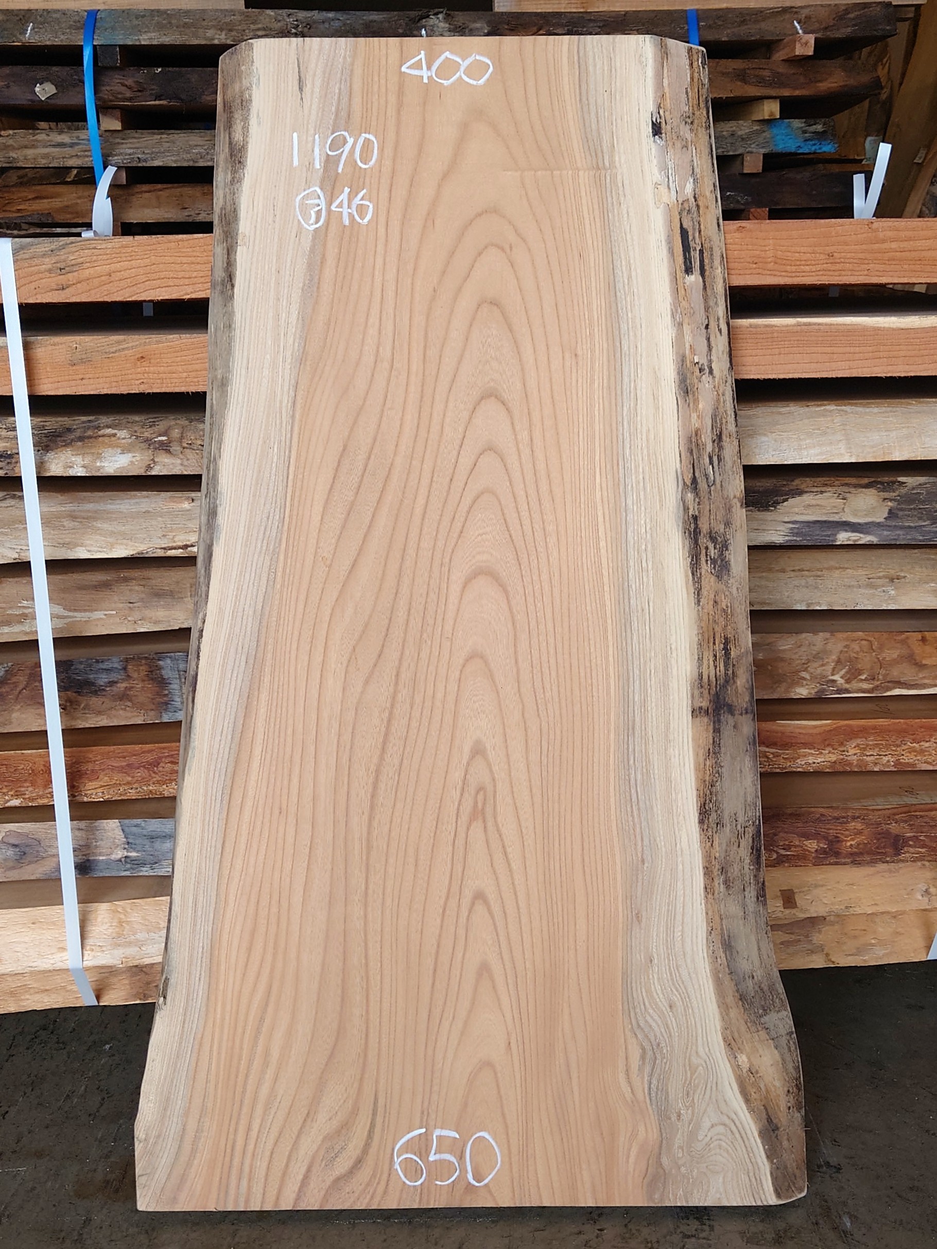 Ｋ-８８９　欅ケヤキ　国産　看板用板　１１９０×６５０【仕上げ加工済】【天然乾燥材】