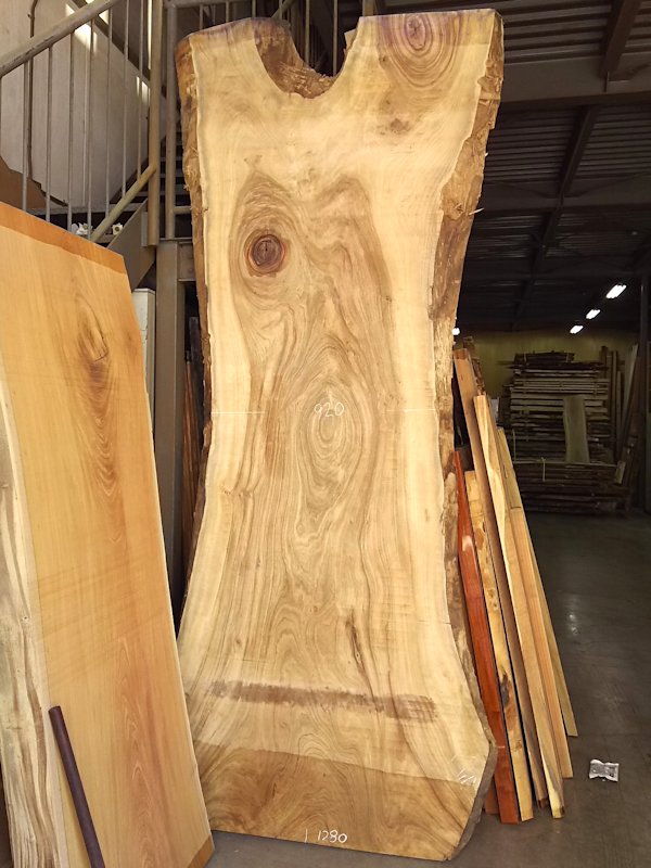 ＫＳ-６０３　楠クスノキ　国産　特大天然耳付き板　３３００×１４００　天然乾燥材