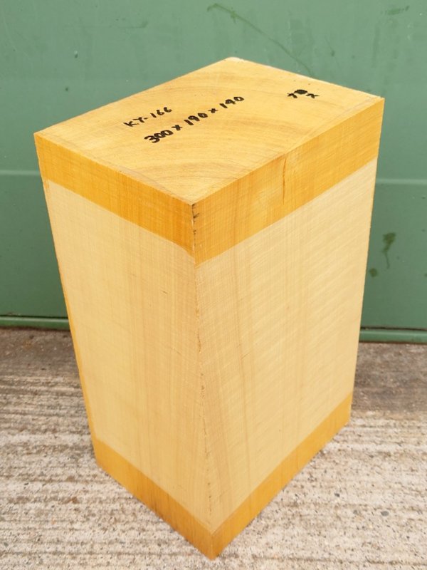 ＫY-１６６　榧カヤかや　国産　彫刻用材　３００×１９０×１４０【天然乾燥材】