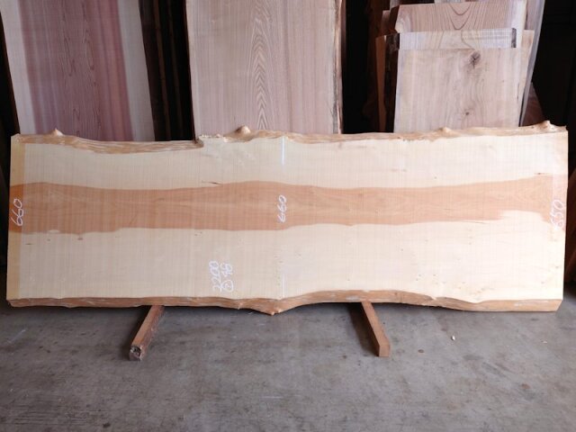 ＩＴ-２０２　銀杏イチョウ　国産　天然耳付き板　２０００×７００　天然乾燥材