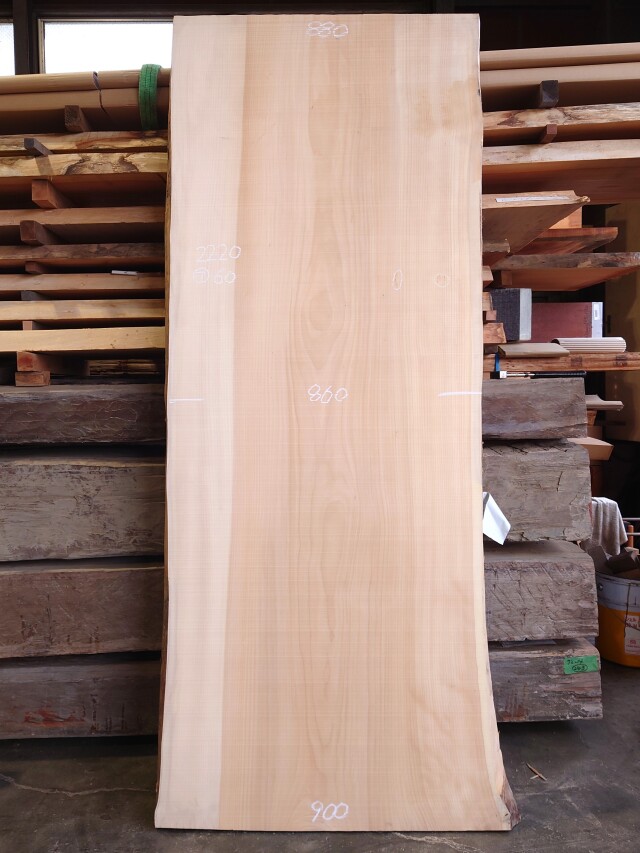 ＩＴ-２１８　銀杏イチョウいちょう　国産　天然耳付き板　２２２０×９５０【天然乾燥材】