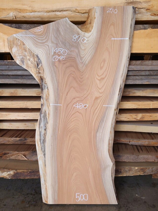 Ｋ-８８０　欅ケヤキ　国産　看板用板　１４５０×６００【仕上げ加工済】【天然乾燥材】