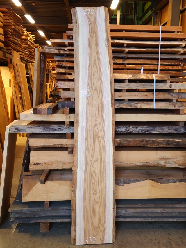 Ｋ-９００　欅ケヤキ　国産　看板用板　２２８０×４００【仕上げ加工済】【天然乾燥材】