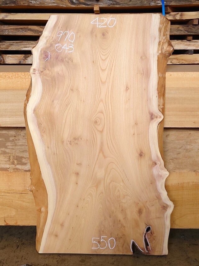 Ｋ-９０７　欅ケヤキ　国産　看板用板　９７０×５５０【仕上げ加工済】【天然乾燥材】