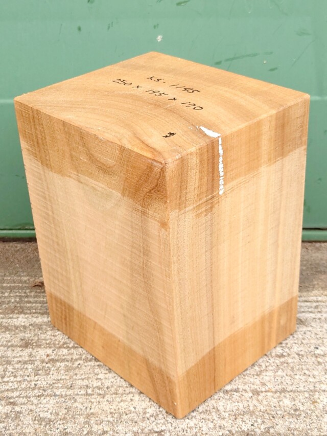ＫＳ-１１４５　楠くすのきクスノキ　彫刻材　２５０×１９５×１７０