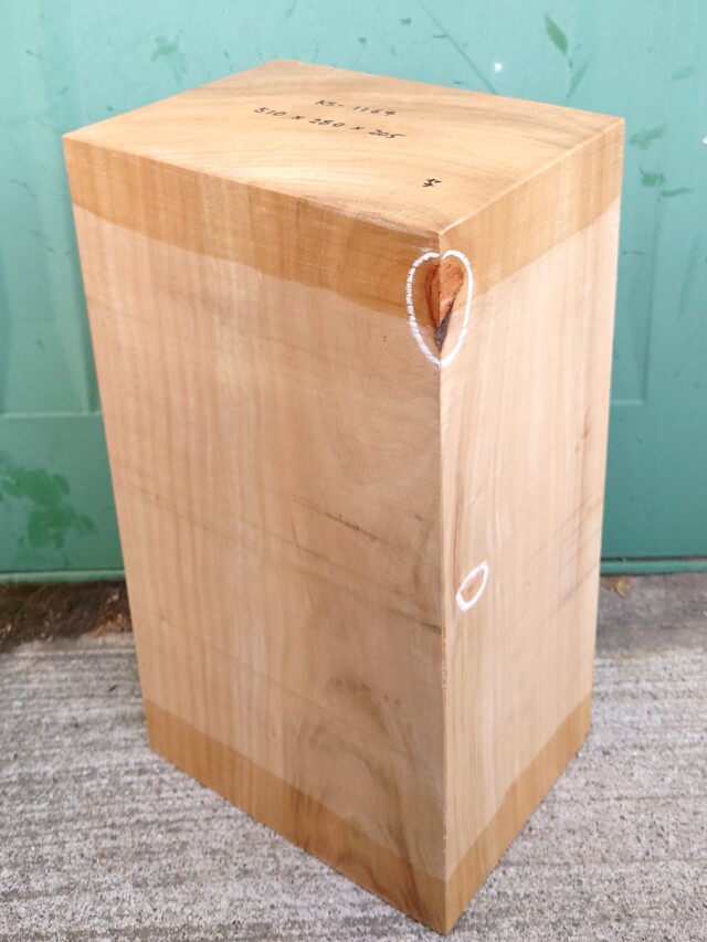 ＫＳ-１１６４　楠くすのきクスノキ　彫刻材　５１０×２８０×２０５