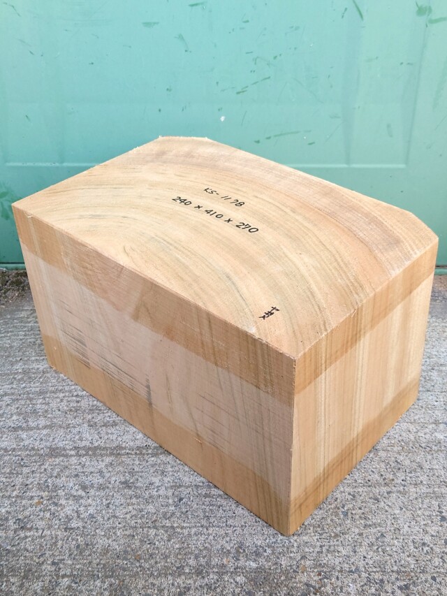 ＫＳ-１１７８　楠くすのきクスノキ　彫刻材　２４０×４１０×２７０