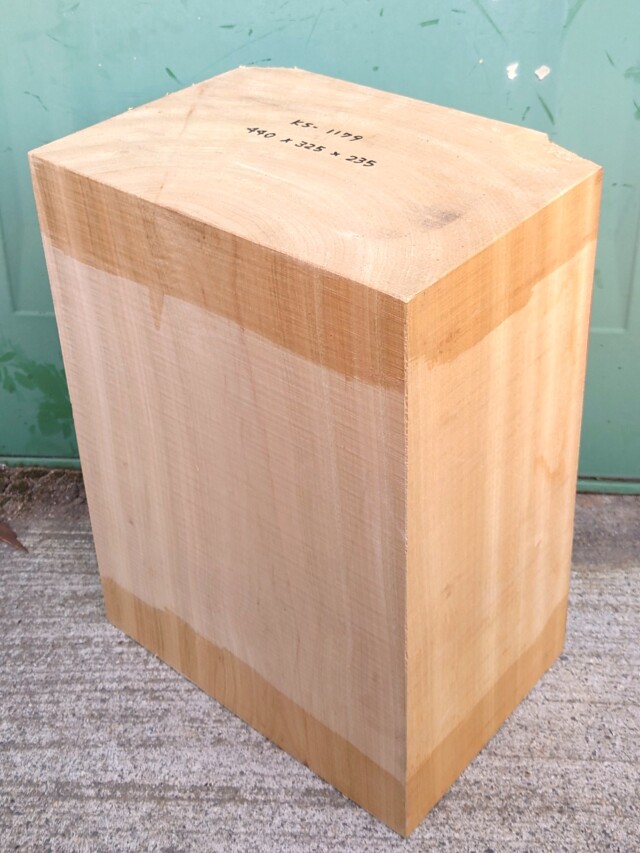 ＫＳ-１１７９　楠くすのきクスノキ　彫刻材　４４０×３２５×２３５