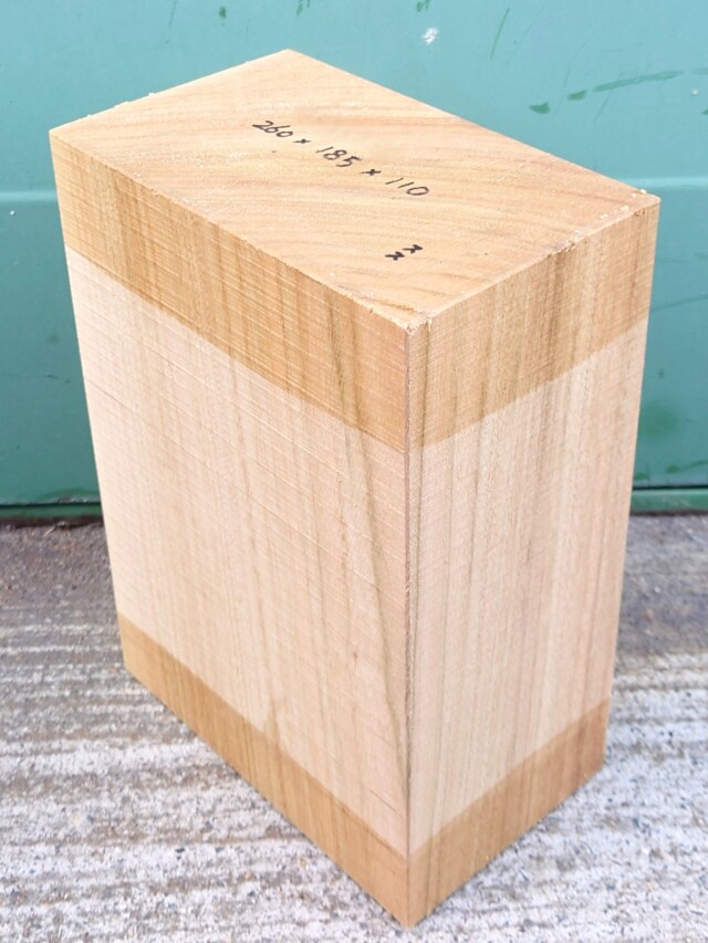 ＫＳ-１１８８　楠くすのきクスノキ　彫刻材　２６０×１８５×１１０