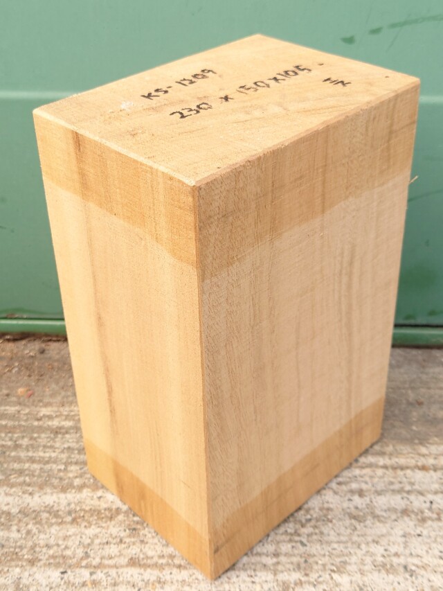 ＫＳ-１２０９　楠くすのきクスノキ　彫刻材　２３０×１５０×１０５