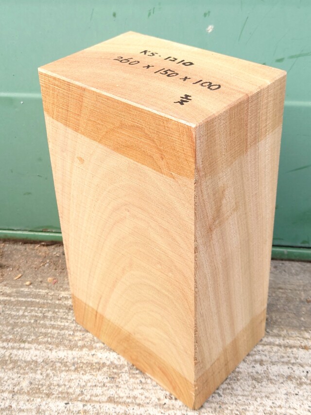 ＫＳ-１２１０　楠くすのきクスノキ　彫刻材　２６０×１５０×１００