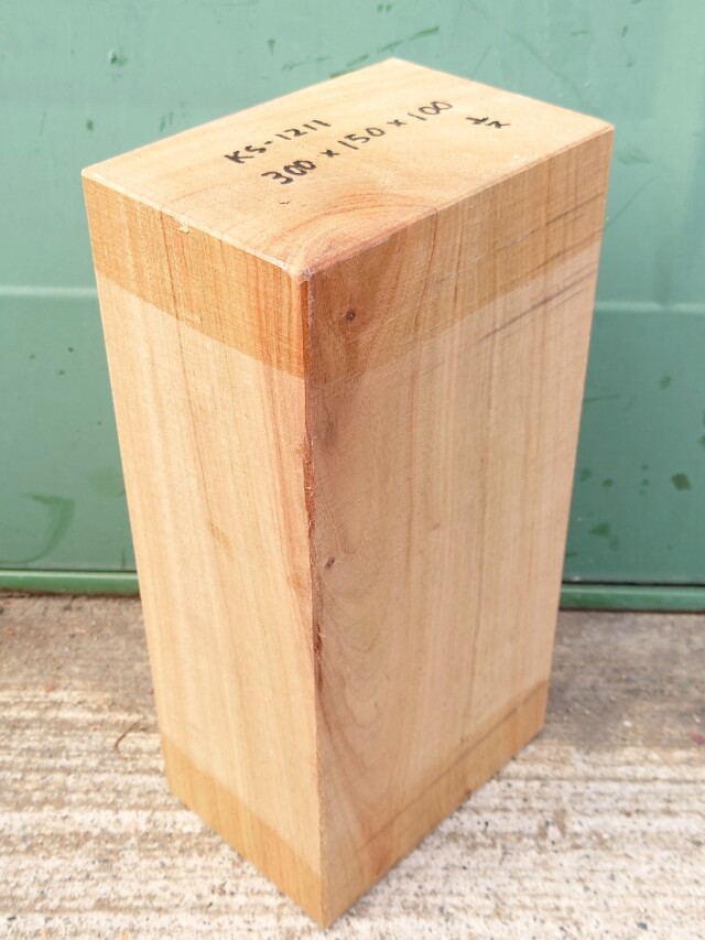 ＫＳ-１２１１　楠くすのきクスノキ　彫刻材　３００×１５０×１００