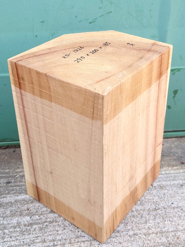 ＫＳ-１２２６　楠くすのきクスノキ　彫刻材　２９０×２００×１８５