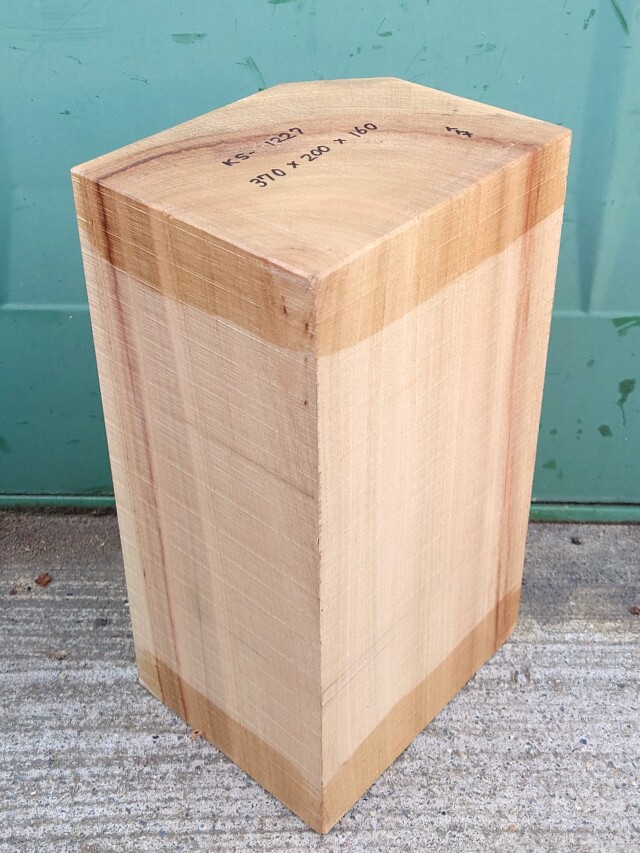 ＫＳ-１２２７　楠くすのきクスノキ　彫刻材　３７０×２００×１６０