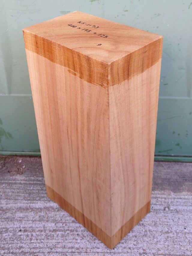 ＫＳ-１１７３　楠くすのきクスノキ　彫刻材　４００×１９５×１２５