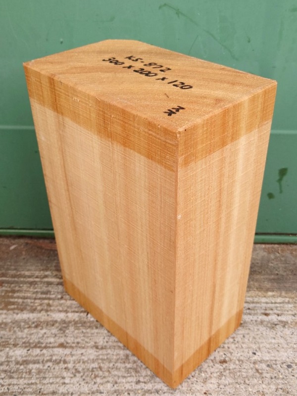 彫刻用の楠（クスノキ）のブロックです。