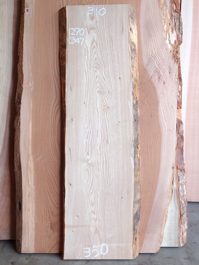 ＫU-１６８　栗クリ　国産　天然耳付き板　１２７０×３５０【天然乾燥材】【電気カンナ加工済】